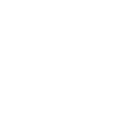 network icon white